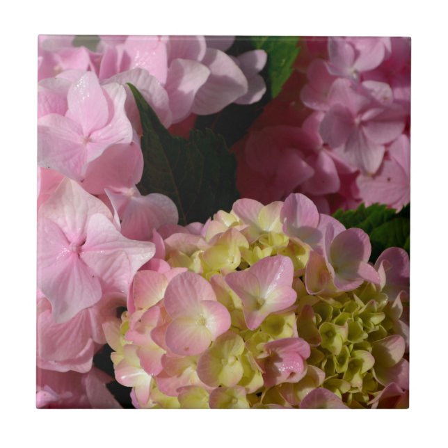Pink Cream Hydrangeas yellow pink green floral  Tile (Front)