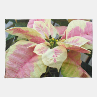 Pink Cream Poinsettia Kitchen Towel