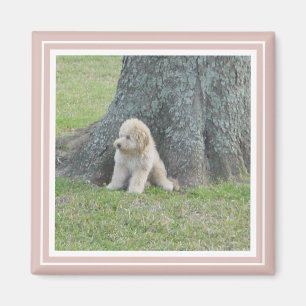 Pink Create Your Own Custom Personalized Photo Magnet