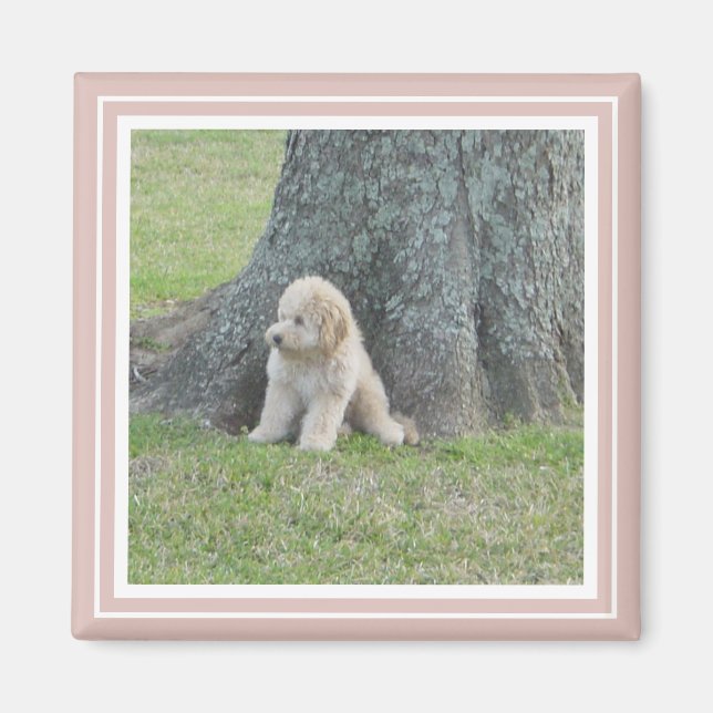 Pink Create Your Own Custom Personalized Photo Magnet (Front)