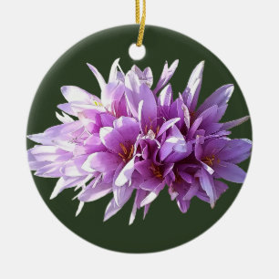 Pink Crocus Flowers Ceramic Ornament