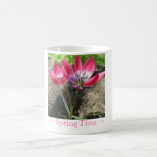 Pink crocus flowers Mug