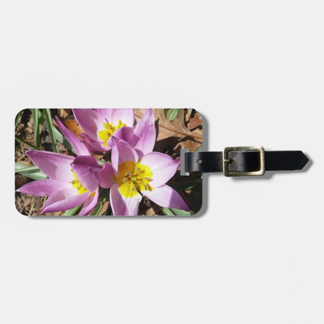 Pink Crocuses Spring Floral Luggage Tag (Front Horizontal)