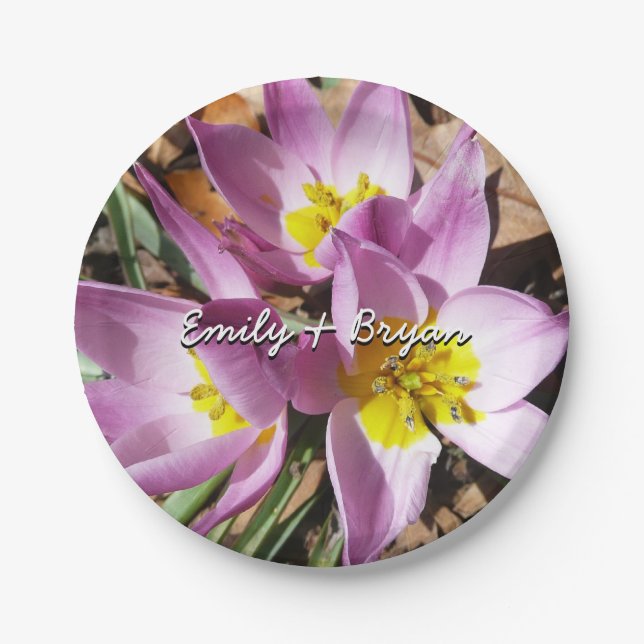 Pink Crocuses Spring Floral Paper Plate (Front)
