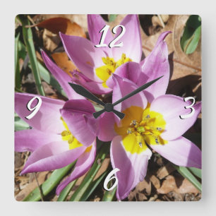 Pink Crocuses Spring Floral Square Wall Clock
