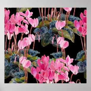 Pink Cyclamen: Dark Floral Watercolor Poster