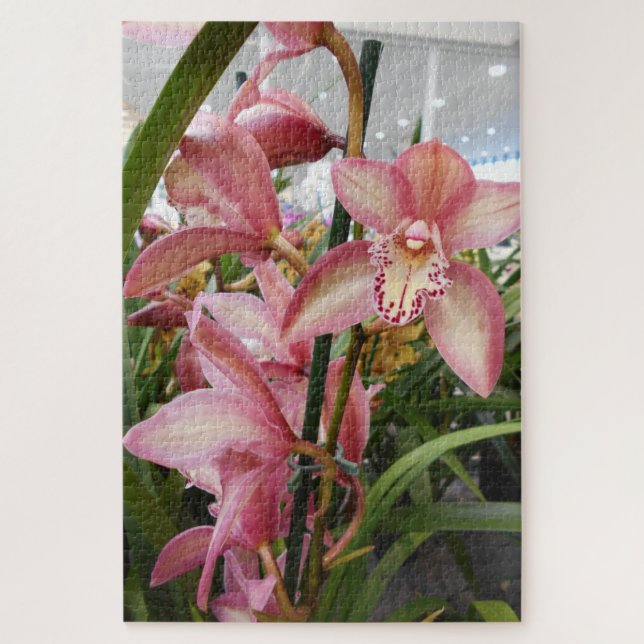 Pink Cymbidium Orchids Jigsaw Puzzle (Vertical)