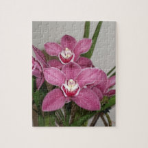 Pink Cymbidium Orchids Puzzle