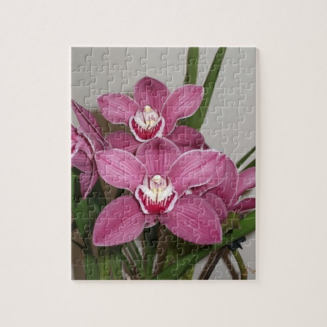 Pink Cymbidium Orchids Puzzle (Vertical)