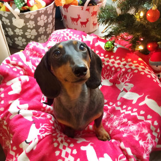 Pink Dachshund Fair Isle Christmas Blanket 