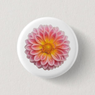 Pink Dahlia and Dew Drops 1 Inch Round Button