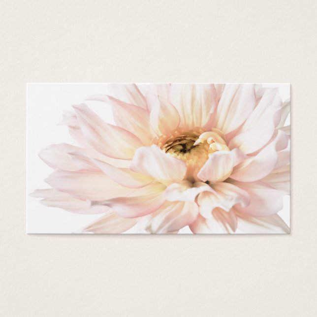 Pink Dahlia Artwork - Customize (Front)