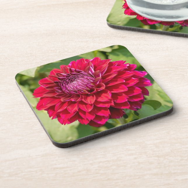 Pink Dahlia, Beautiful Flower Photography Coaster (Left Side)