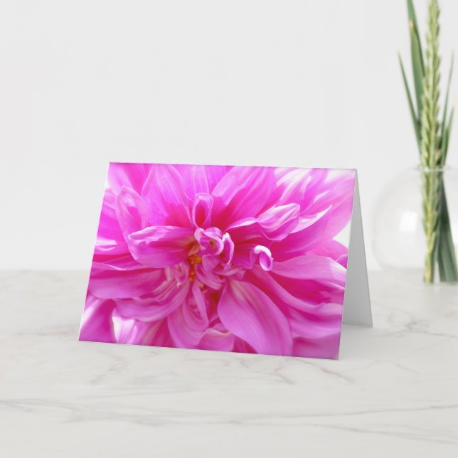 Pink Dahlia Blank Floral Card (Front)