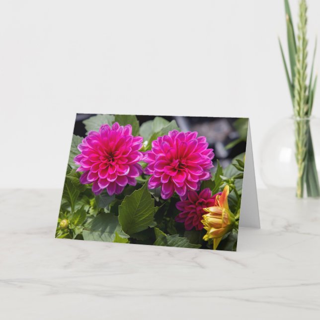 Pink Dahlia Blank Note Card (Front)
