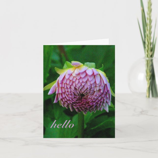 PINK DAHLIA CARD (Front)