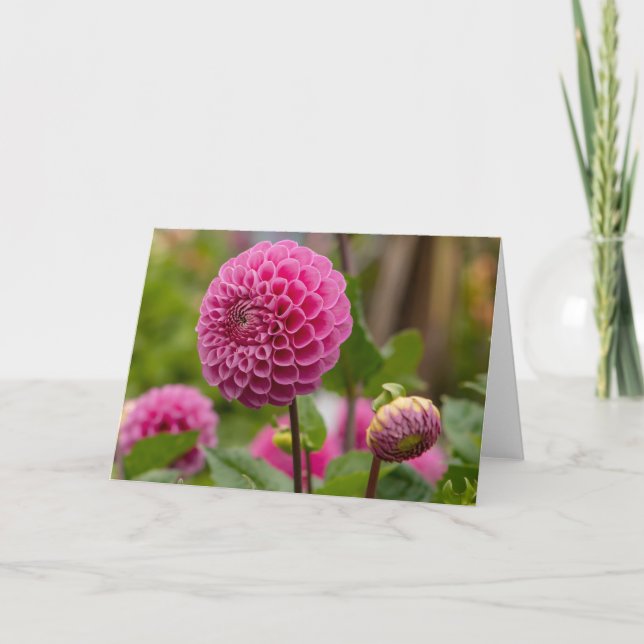 Pink Dahlia Card (Front)