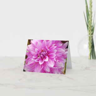 Pink Dahlia Card