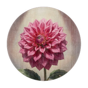 Pink Dahlia Flower Botanical Cutting Board