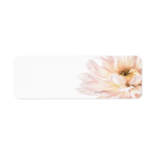 Pink Dahlia Flower - Dahlias Customized Template (Front)