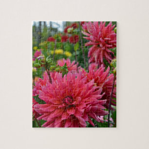 Pink dahlia flower garden jigsaw puzzle