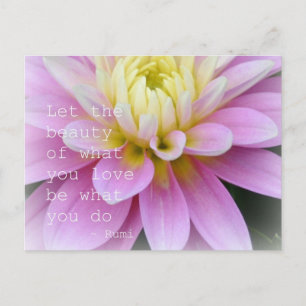Pink Dahlia Flower Postcard