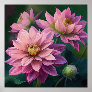 Pink Dahlia Flowers Art Print Poster