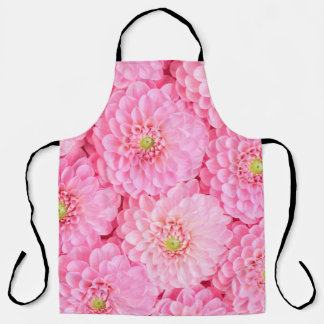 Pink dahlia flowers background. Top view. Apron