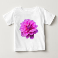 Pink Dahlia (Isolated)