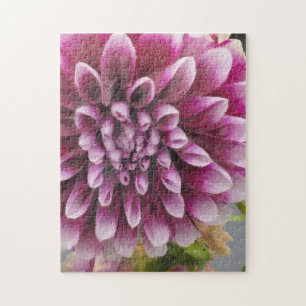 Pink Dahlia Jigsaw Puzzle