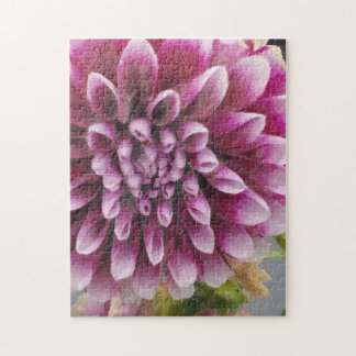Pink Dahlia Jigsaw Puzzle