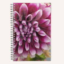 Pink Dahlia notebook