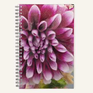 Pink Dahlia notebook