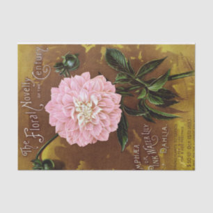 Pink Dahlia on Brown Antique Print Tissue Paper