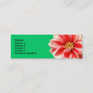 Pink Dahlia Profile Card