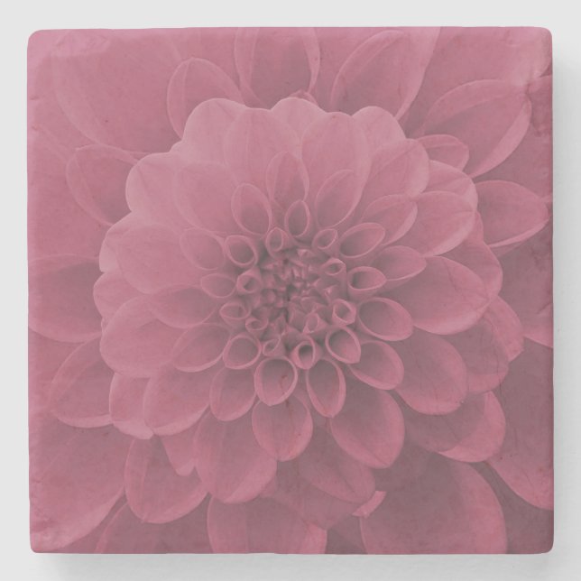 Pink Dahlia Stone Coaster (Front)