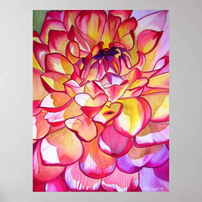 Pink Dahlia watercolour fine art poster (Front)