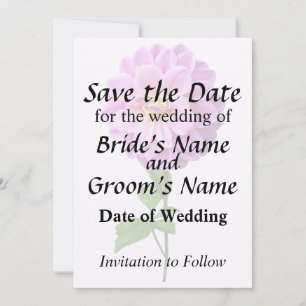 Pink Dahlia With Dew Save The Date