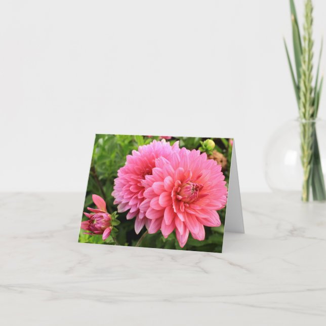 pink dahlias note card (Front)