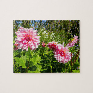 Pink Dahlias (Otto's Thrill) Jigsaw Puzzle