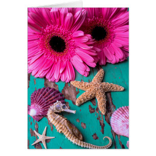 Pink Daises And Seahorse With Starfish