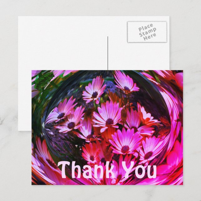 Pink Daisies Abstract Floral Thank You Postcard (Front/Back)