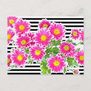 Pink Daisies / Asters Bouquet & Strips + your idea Postcard