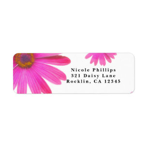 Pink Daisies Floral Daisy Rustic Party Invitation