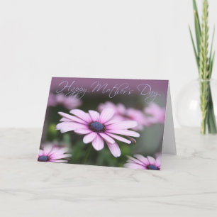 Pink Daisies Mother's Day Card