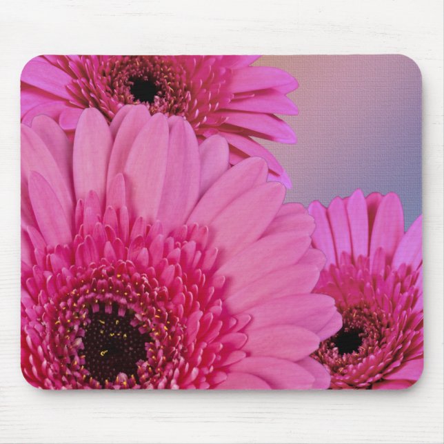 Pink daisies mouse pad (Front)