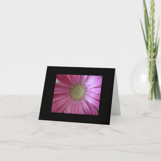 Pink Daisy Beauty Card (Front)