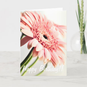 Pink Daisy Birthday Card