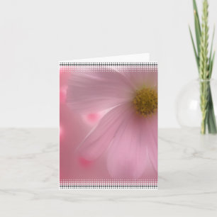 Pink Daisy Blank Notecard