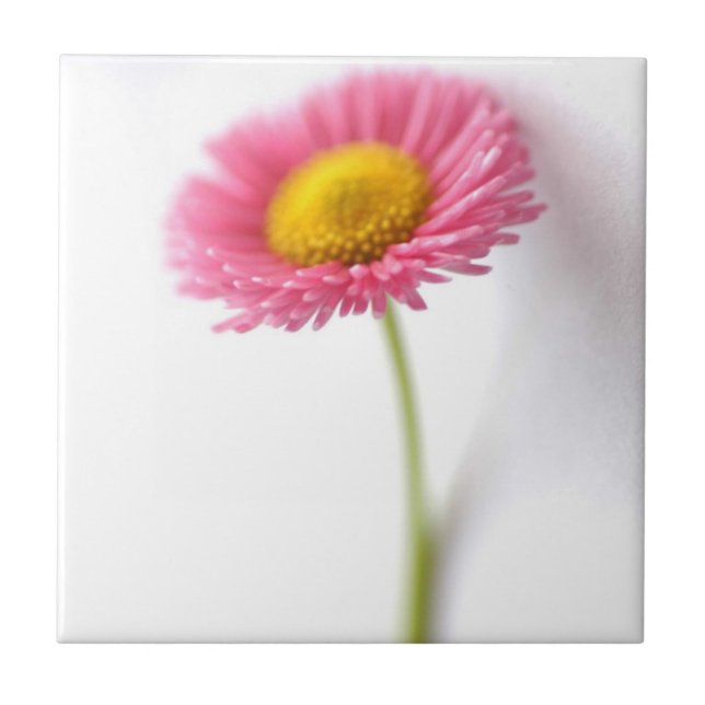 Pink Daisy Ceramic Tile (Front)